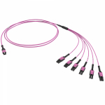 Оптическая разветвительная сборка 12ОВ 50/125 OM4, 1xMTP PRO(12)/6хLC Duplex Uniboot, 2м (предустановленная конфигурация: MTP Male , тип полярности - Оптическая разветвительная сборка 12ОВ 50/125 OM4, 1xMTP PRO(12)/6хLC Duplex Uniboot, 2м (предустановленная конфигурация: MTP Male , тип полярности -