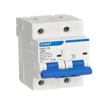 Авт. выкл. NXB-125 2P 100А 10кА х-ка C  CHINT (1)