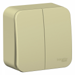 Выключатель 2кл о/у крем изол.пл. IP20 Blanca Systeme Electric (1/15) Выключатель 2кл о/у крем изол.пл. IP20 Blanca Systeme Electric (1/15)