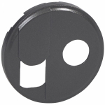 CLN2 Накл. розетки RJ45-TV Граф CLN2 Накл. розетки RJ45-TV Граф