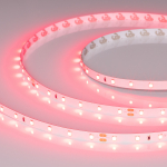 Лента RT-A60-8mm 24V Ruby (4.8 W/m, IP20, 5m) (Arlight, -) Лента RT-A60-8mm 24V Ruby (4.8 W/m, IP20, 5m) (Arlight, -)