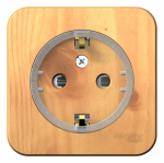 Розетка 1гн с З/К шторки о/у ясень 16А Blanca Schneider Electric