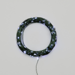 Гирлянда Роса с контроллером 30м, 300LED, IP20, 230В, зеленый провод, белое свечение