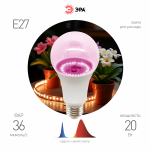 Фитолампа для растений светодиодная ЭРА GREEN LINE ФИТО A65-20W-PL-E27-GR розового свечения 20 Вт Фитолампа для растений светодиодная ЭРА GREEN LINE ФИТО A65-20W-PL-E27-GR розового свечения 20 Вт