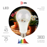 Фитолампа для растений светодиодная ЭРА FITO-25W-Ra90-E27 полного спектра 25 Вт Е27 Фитолампа для растений светодиодная ЭРА FITO-25W-Ra90-E27 полного спектра 25 Вт Е27
