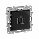 Розетка 2гн USB+USB с/у антрацит механизм Etika Legrand Розетка 2гн USB+USB с/у антрацит механизм Etika Legrand