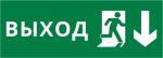 Пиктограмма ДСО-101-IP20 "Выход Фигура - вниз 2"