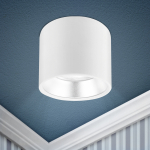 Светильник подсветка накладной под лампу GX53 IP20 алюминий, бел+серебро OL8 GX53 WH/SL ЭРА (1/40) Светильник подсветка накладной под лампу GX53 IP20 алюминий, бел+серебро OL8 GX53 WH/SL ЭРА (1/40)