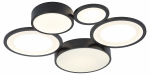 Светильник потолочный светодиодный Rivoli Aliona 6161-201 LED 110 Вт 3000 - 6000 К с пультом Светильник потолочный светодиодный Rivoli Aliona 6161-201 LED 110 Вт 3000 - 6000 К с пультом