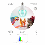 Лампа для птиц и рептилий ЭРА Chicken с UVB спектром FITO-Dim 9W E27 Лампа для птиц и рептилий ЭРА Chicken с UVB спектром FITO-Dim 9W E27