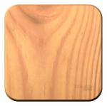 Выключатель 1кл кнопочный о/у ясень изол.пл. сх.1 IP20 Blanca Schneider Electric Выключатель 1кл кнопочный о/у ясень изол.пл. сх.1 IP20 Blanca Schneider Electric