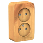 Розетка 2гн без З/К шторки о/у ясень изол.пласт. 16А IP20 Blanca Schneider Electric Розетка 2гн без З/К шторки о/у ясень изол.пласт. 16А IP20 Blanca Schneider Electric