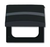 Плата промежуточная с крышкой для центральных плат серий Busch-Duro 2000 SI и Reflex SI, с полем для надписи, IP44, серия Allwetter 44, цвет антрацит Плата промежуточная с крышкой для центральных плат серий Busch-Duro 2000 SI и Reflex SI, с полем для надписи, IP44, серия Allwetter 44, цвет антрацит