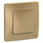 Выключатель 1кл с/у титан Blanca Systeme Electric (1/5)