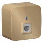 Розетка 1гн ТФ RJ11 о/у титан изол.пласт. IP20 Blanca Schneider Electric Розетка 1гн ТФ RJ11 о/у титан изол.пласт. IP20 Blanca Schneider Electric