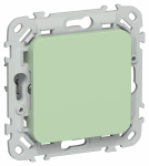 FLITE Заглушка с суппортом ЗГ-ФлФ фис. IEK