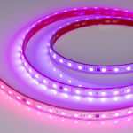 Лента герметичная SPI-PFS-B60-12mm 24V RGB-PX6-BPT (12 W/m, IP68, 5060, 5m) (Arlight, бегущий огонь)