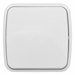 Выключатель 1кл о/у белый IP20 Минск EKF (10/200)