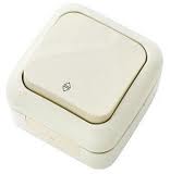 Выключатель 1кл прох о/у крем IP54 Palmiye Viko  (1/10)