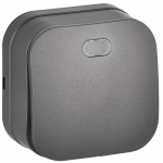 GLORY Выключ. 1-кл. с инд. о/у 10А ВС20-1-1-ХСм сталь м. IEK