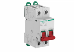Выкл.нагрузки 2Р 100А Systeme9 Systeme Electric (1/6/54) Выкл.нагрузки 2Р 100А Systeme9 Systeme Electric (1/6/54)