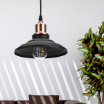 Светильник подвесной макс. 60Вт E27 d203мм металл шагрень черн. медь PL4 BK/RC ЭРА (1/10) Светильник подвесной макс. 60Вт E27 d203мм металл шагрень черн. медь PL4 BK/RC ЭРА (1/10)