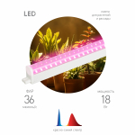 Светильник для растений, фитолампа светодиодная линейная ЭРА FITO-18W-PL-LINE 573-GR красно-синего спектра 18 Вт Т5 Светильник для растений, фитолампа светодиодная линейная ЭРА FITO-18W-PL-LINE 573-GR красно-синего спектра 18 Вт Т5