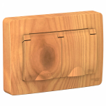 Розетка 2гн с З/К шторки с/у ясень 16А Blanca Systeme Electric