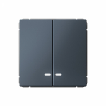 Выключатель 2кл с подсв с/у грифель механизм быстрозажим ArtGallery Systeme Electric (1/20) Выключатель 2кл с подсв с/у грифель механизм быстрозажим ArtGallery Systeme Electric (1/20)