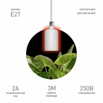 Светильник для растений ЭРА FITO-Hanging сeramic holder 3 m подвесной патрон керамический с кабелем и цоколем Е27