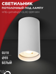 Светильник потолочный НПБ-ЦИЛИНДР-GU10 SBM-WH под GU10 55х100мм белый IN HOME