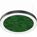 NATURE OREOL MOSS FLD/P (1500) 840 WH NATURE OREOL MOSS FLD/P (1500) 840 WH