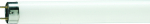 Лампа люм 18Вт лин Т8 G13 6200К 1025Лм 600мм Philips (25)
