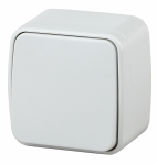 Выключатель 1кл о/у белый 3-101-01 Intro Polo ЭРА (1/18)