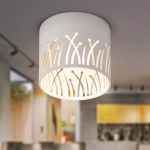 Светильник настенно-потолочный спот ЭРА OL54 WH под лампу GX53 белый IP20