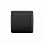 Выключатель 1кл с/у черн 2021B CLASSICO IN HOME (1/10/200) Выключатель 1кл с/у черн 2021B CLASSICO IN HOME (1/10/200)