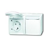 Розетка ABB Ocean 2-мест. в сборе с корпусом с З/К откр. уст-ки16А 220-250В со шторками с крышкой IP44 белый Розетка ABB Ocean 2-мест. в сборе с корпусом с З/К откр. уст-ки16А 220-250В со шторками с крышкой IP44 белый