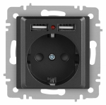 Розетка Intro Accent 6-410-07 P+E Schuko со шторками, 16А-250В + 2хUSB, IP20, СУ, графит Розетка Intro Accent 6-410-07 P+E Schuko со шторками, 16А-250В + 2хUSB, IP20, СУ, графит