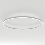 Светильник SP-LINE-HANG ARC-O3535-D3000-204W Warm3000 (WHITE, 230V) (Arlight, Металл) Светильник SP-LINE-HANG ARC-O3535-D3000-204W Warm3000 (WHITE, 230V) (Arlight, Металл)