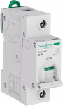 Авт.выкл. 1Р 100А D 10кА 27мм Systeme9 Systeme Electric (1/12/108) Авт.выкл. 1Р 100А D 10кА 27мм Systeme9 Systeme Electric (1/12/108)