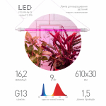 Светильник для растений, фитолампа светодиодная линейная ЭРА FITO-9W-Rb-Т8+FITO-Holder IP65 2хG13 с выключателем, 1.5м Светильник для растений, фитолампа светодиодная линейная ЭРА FITO-9W-Rb-Т8+FITO-Holder IP65 2хG13 с выключателем, 1.5м