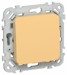 FLITE Выключ. 1-кл. кноп. прох. 10А ВС61-2-0-ФлЗ зол. IEK FLITE Выключ. 1-кл. кноп. прох. 10А ВС61-2-0-ФлЗ зол. IEK