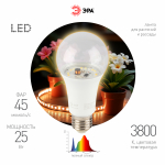 Фитолампа для растений светодиодная ЭРА FITO-25W-Ra90-E27 полного спектра 25 Вт Е27 Фитолампа для растений светодиодная ЭРА FITO-25W-Ra90-E27 полного спектра 25 Вт Е27