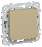 FLITE Выключ. 1-кл. перекр. 10А ВС71-1-0-ФлХ хак. IEK FLITE Выключ. 1-кл. перекр. 10А ВС71-1-0-ФлХ хак. IEK