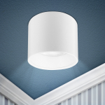 Светильник настенно-потолочный спот под лампу GX53 алюминий, белый OL8 GX53 WH ЭРА (1/40) Светильник настенно-потолочный спот под лампу GX53 алюминий, белый OL8 GX53 WH ЭРА (1/40)