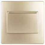 12-6201-04 ЭРА Накладка на 12-4105-99, Эра12, шампань 12-6201-04 ЭРА Накладка на 12-4105-99, Эра12, шампань