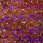 Гирлянда "Сеть" 2,5х2,5м, черный ПВХ, 432 LED Белые/Синие Neon-Night (1/1/5)