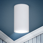 Светильник накладной под лампу GU10 алюминий белый OL15 GU10 WH ЭРА (1/40) Светильник накладной под лампу GU10 алюминий белый OL15 GU10 WH ЭРА (1/40)