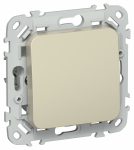 FLITE Выключ. 1-кл. 2п. прох. 10А ВС6/21-1-0-ФлШ шам. IEK