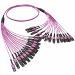 Оптическая разветвительная сборка 48ОВ 50/125 OM4, 24xLC Duplex Uniboot/24xLC Duplex Uniboot, 5м Оптическая разветвительная сборка 48ОВ 50/125 OM4, 24xLC Duplex Uniboot/24xLC Duplex Uniboot, 5м